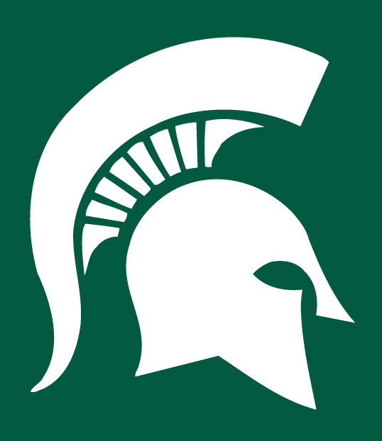 Michigan State Spartans 1977-Pres Alternate Logo iron on transfers for clothing